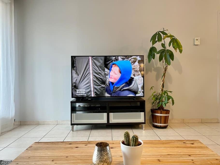 L'Ideal Cosy-Wifi-Netflix Et Garage เวียน ภายนอก รูปภาพ